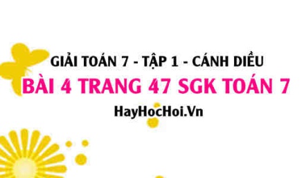 Giải bài 4 trang 47 Toán 7 Tập 1 SGK Cánh Diều